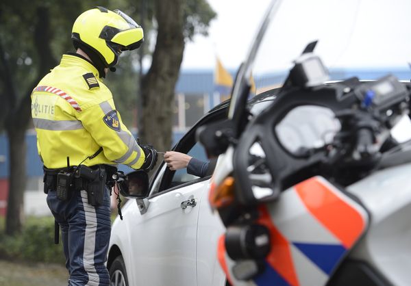 Meer valse rijbewijzen in omloop: vanaf 50 euro te bestellen