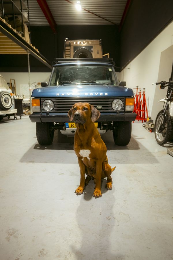 Robin (26) begon zonder ervaring overlanders te bouwen: 'Waar ben ik aan begonnen?'