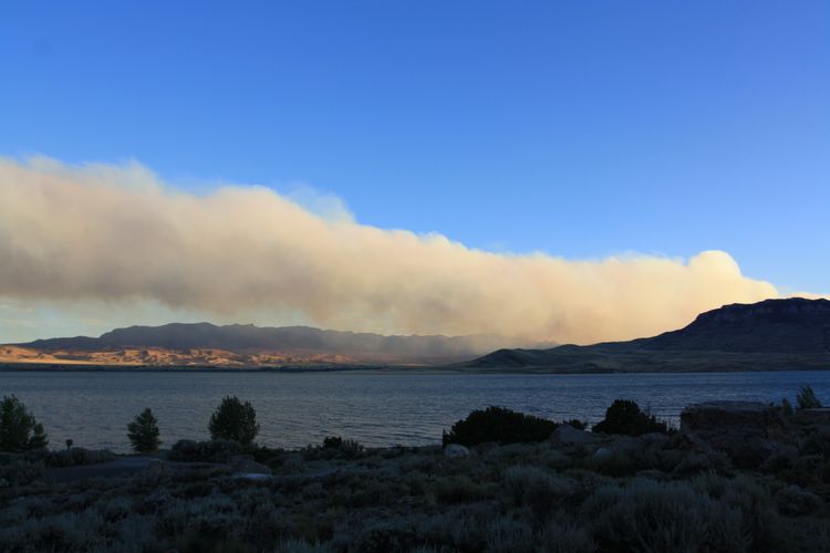 Bosbrand nabij Cody, Wyoming