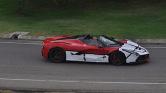 Ferrari LaFerrari Spider - Ivo de Knegt  DSC_0933