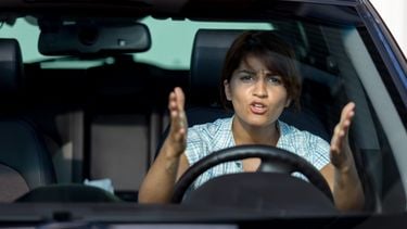 onderzoek bestuurders BMW aso asociaal Nederland Nederlanders