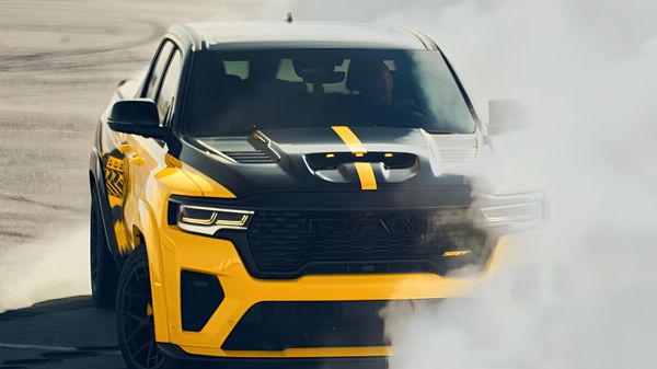 Extreem grote en luidruchtige bij op komst: Amerikaanse “Rumble Bee” te herkennen aan jankend geluid