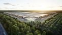 Tesla Gigafactory Berlijn bomen bos gekapt Elon Musk