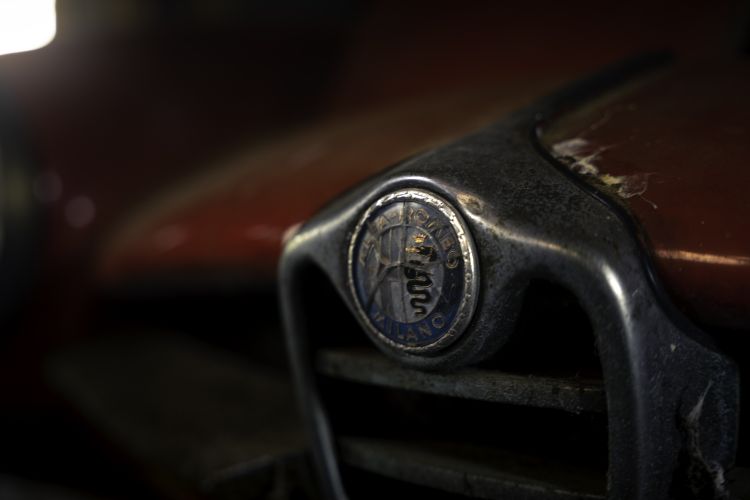 Alfa Romeo Giulia Sprint Speciale Barnfind