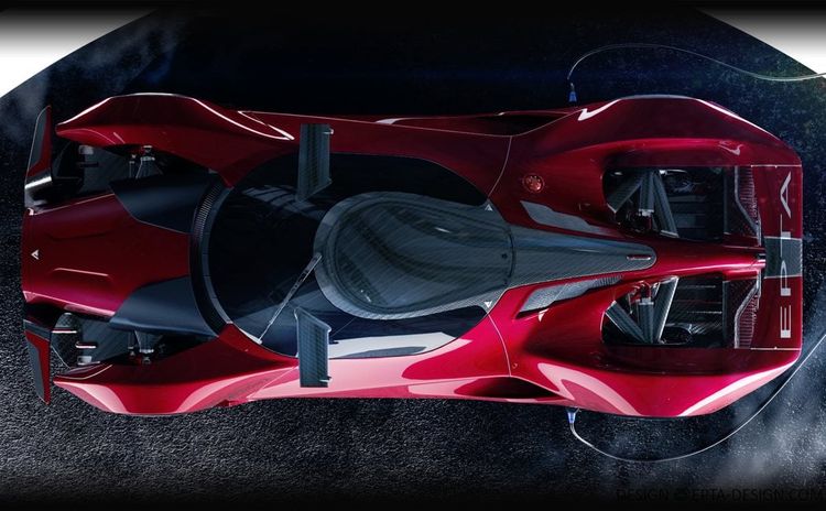 vanda-dendrobium-top