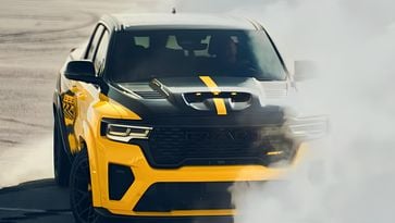 Extreem grote en luidruchtige bij op komst: Amerikaanse “Rumble Bee” te herkennen aan jankend geluid