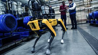 robothond bmw