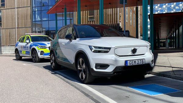 Draadloze oplader, opladen, elektrische auto, Volvo, kat, dier