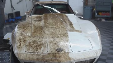 Corvette C3, gewassen, wassen