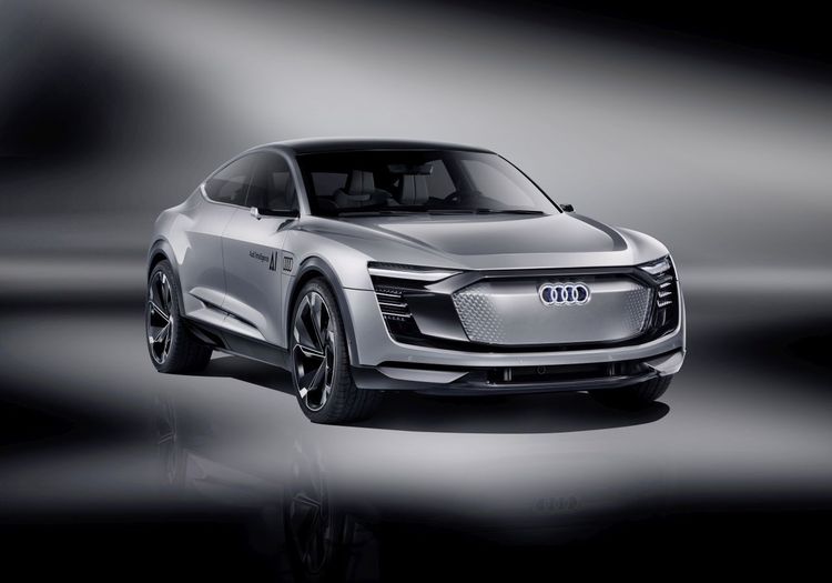 Audi Elaine
