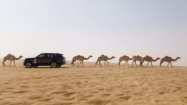 Range Rover Electric