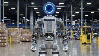 Hyundai robot