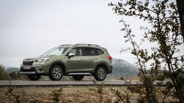Koopwijzer: Subaru Forester - prijzen, problemen en uitvoeringen