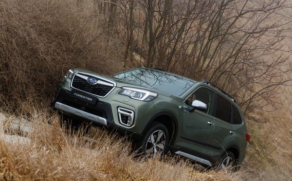 Koopwijzer: Subaru Forester - prijzen, problemen en uitvoeringen