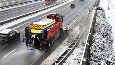 zout strooizout wegennet Nederland Deens lepelblad pekel