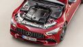 Verbod brandstofauto's Duitsland