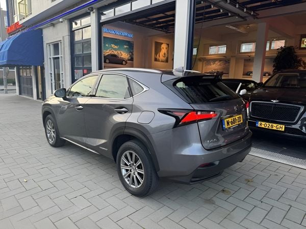 Lexus NX occasion