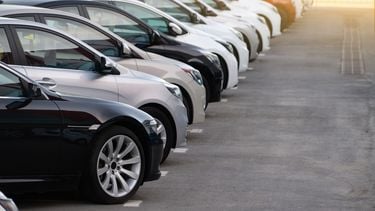 Stevenson Misbruik criticus Auto importeren of in Nederland kopen? De do's en don'ts
