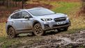 Subaru XV, koopwijzer, prijzen, problemen, uitvoeringen