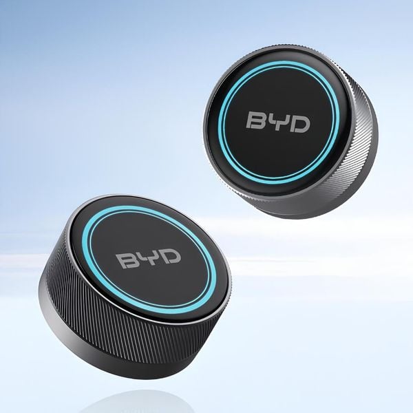 BYD Smart Button