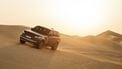 Range Rover Electric