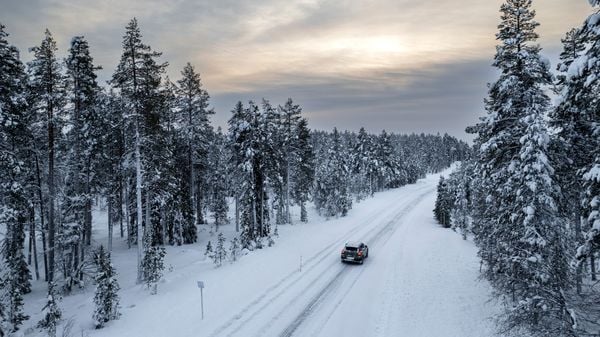 Winterbanden, Scandinavië