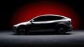 Tesla Model Y L
