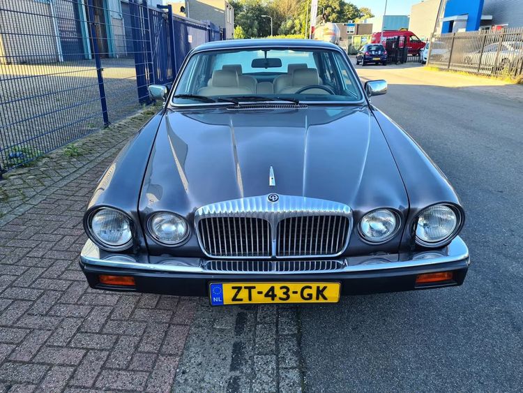 occasion met v12