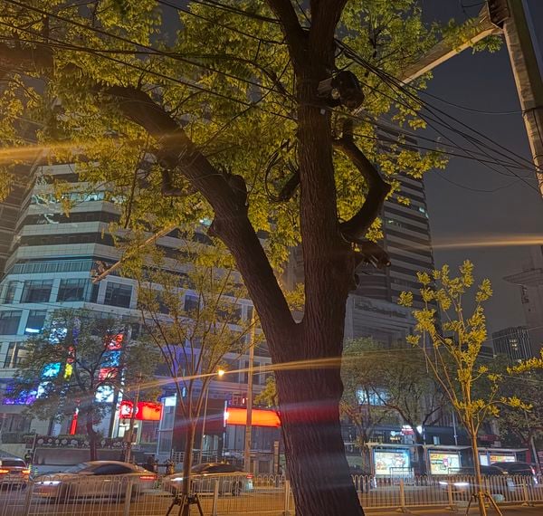 China auto auto's camera camera's boom