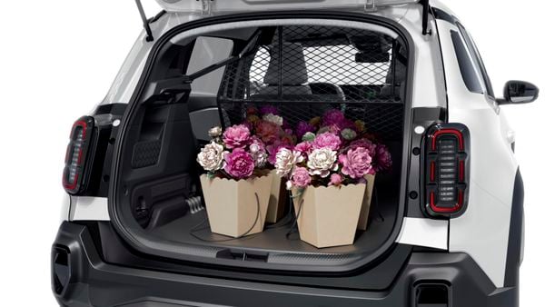 RENAULT 4 E-TECH ELECTRIC van